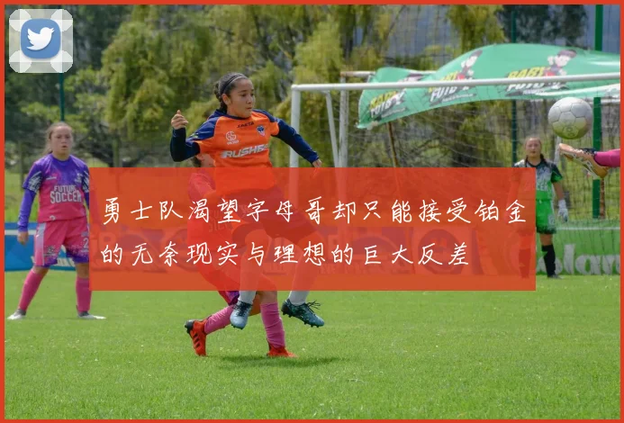 勇士队渴望字母哥却只能接受铂金的无奈现实与理想的巨大反差