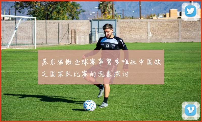 苏东感慨全球赛事繁多唯独中国缺乏国家队比赛的现象探讨