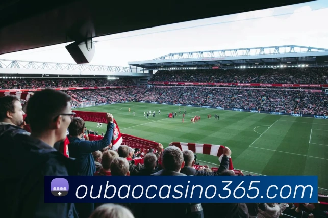 多媒体互动体验